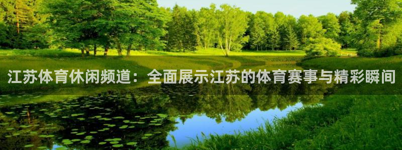 江苏体育休闲频道：全面展示江苏的体育赛事与精彩瞬间