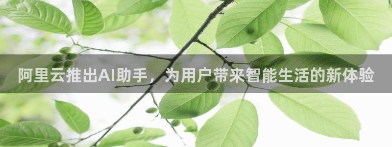 阿里云推出AI助手，为用户带来智能生活的新体验