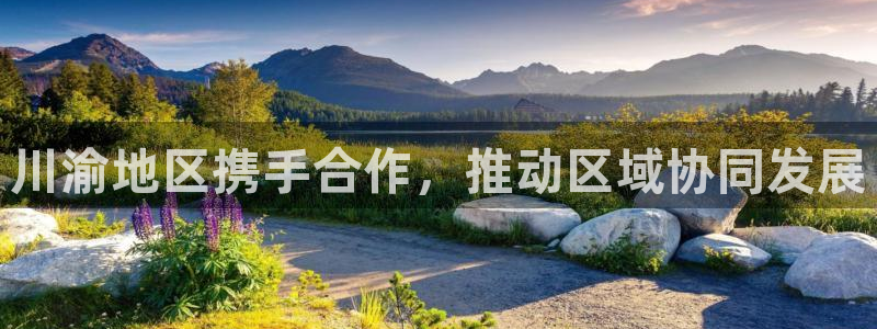 川渝地区携手合作，推动区域协同发展
