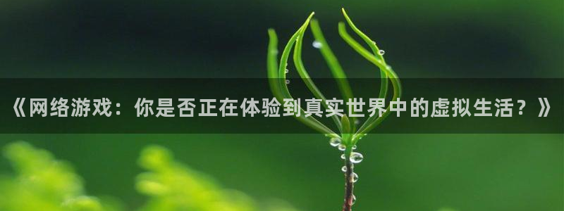 《网络游戏：你是否正在体验到真实世界中的虚拟生活？》