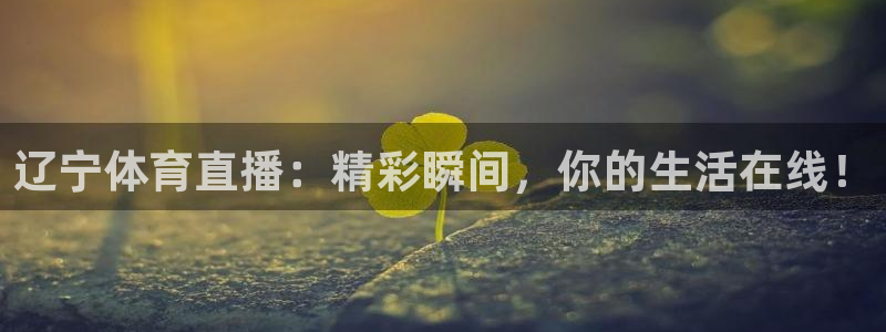 辽宁体育直播：精彩瞬间，你的生活在线！