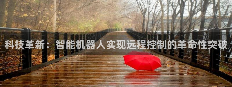 科技革新：智能机器人实现远程控制的革命性突破