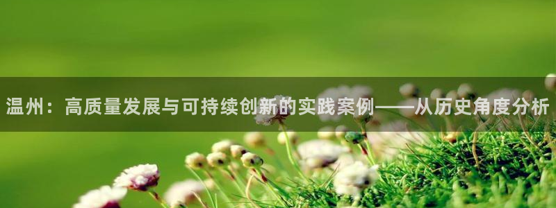 温州：高质量发展与可持续创新的实践案例——从历史角度分析