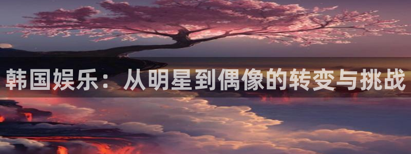 韩国娱乐：从明星到偶像的转变与挑战