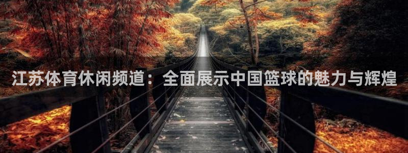 江苏体育休闲频道：全面展示中国篮球的魅力与辉煌