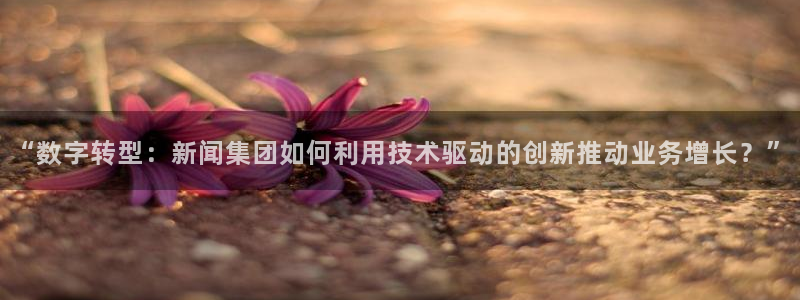 “数字转型：新闻集团如何利用技术驱动的创新推动业务增长？”