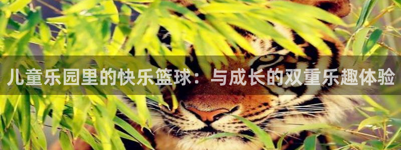 儿童乐园里的快乐篮球：与成长的双重乐趣体验