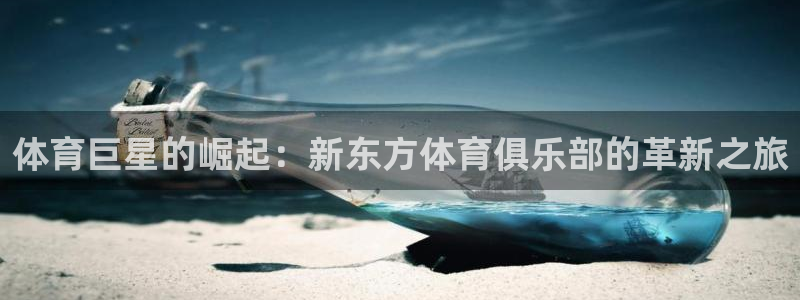 体育巨星的崛起：新东方体育俱乐部的革新之旅