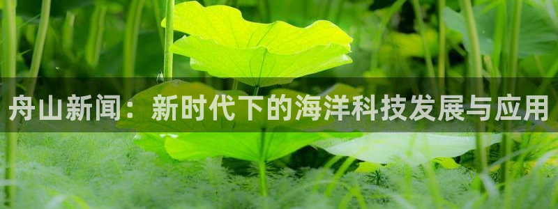 舟山新闻：新时代下的海洋科技发展与应用