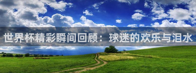 世界杯精彩瞬间回顾：球迷的欢乐与泪水