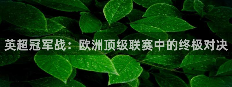 英超冠军战：欧洲顶级联赛中的终极对决