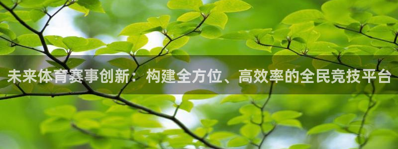 未来体育赛事创新：构建全方位、高效率的全民竞技平台