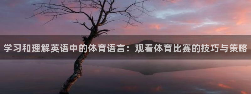 学习和理解英语中的体育语言：观看体育比赛的技巧与策略