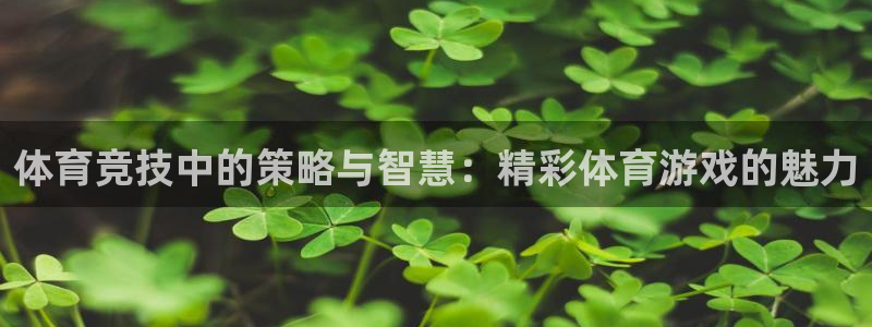 体育竞技中的策略与智慧：精彩体育游戏的魅力