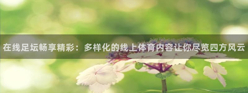在线足坛畅享精彩：多样化的线上体育内容让你尽览四方风云