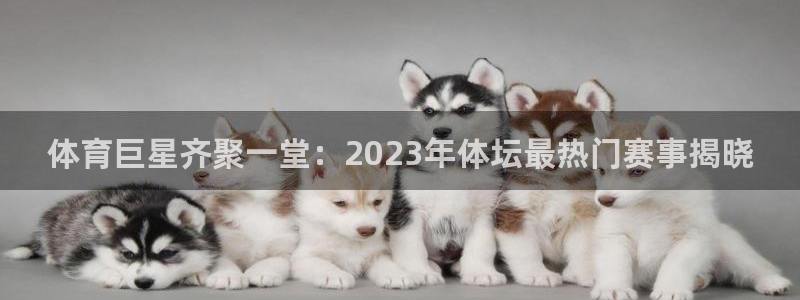 体育巨星齐聚一堂：2023年体坛最热门赛事揭晓