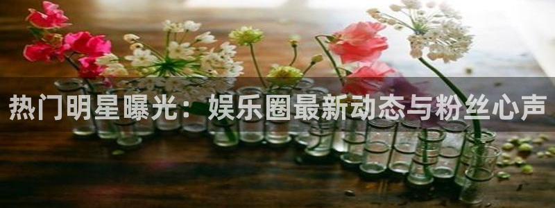 热门明星曝光：娱乐圈最新动态与粉丝心声