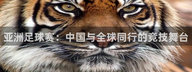 亚洲足球赛：中国与全球同行的竞技舞台