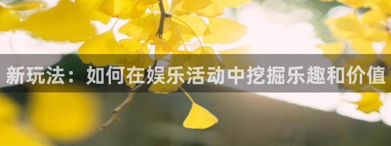新玩法：如何在娱乐活动中挖掘乐趣和价值