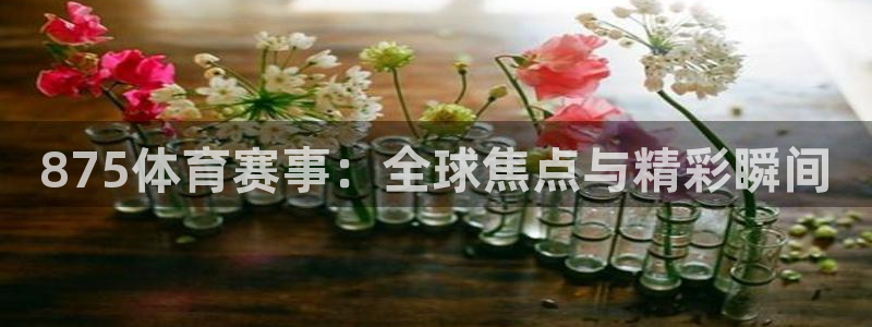 875体育赛事：全球焦点与精彩瞬间